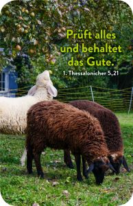 Jahreslosung 2025 Taschenkalender
